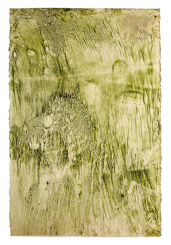chontaduro papel 08.jpg